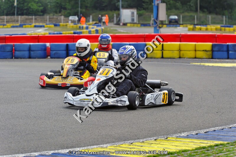 DSC_ (1246).jpg